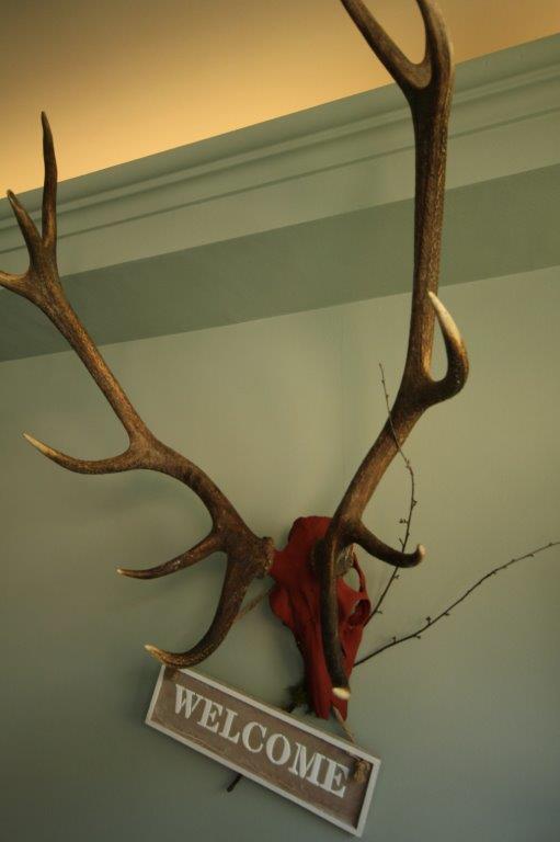 Hotel Restaurant Struemper Hof Meerbusch Eksteriør bilde